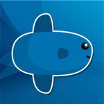 mola android application logo